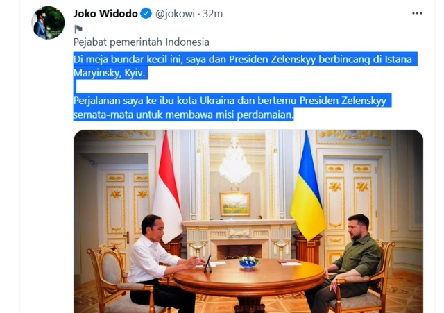 Presiden Joko Widodo Bertemu Presiden Ukraina, Dialog di Depan Meja Bundar Istana Maryinsky