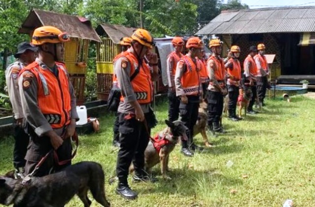 Polisi Gunakan Anjing Pelacak Cari Lokasi Korban Gempa Cianjur Yang Tertimbun Reruntuhan