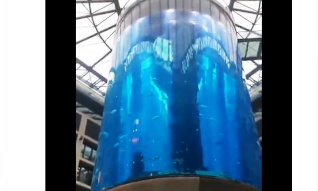 Aquadom Berlin Pecah Muntahkan 1 Juta Liter Air Seperti Tsunami