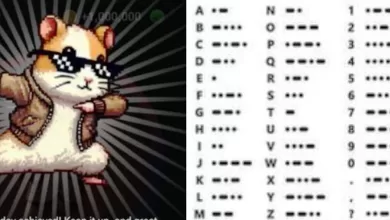 Kode Morse Hamster Kombat 27 Juni