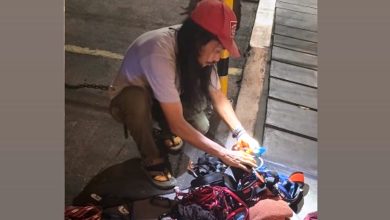 agam rinjani bulusaraung