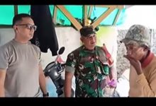 viral es gabus