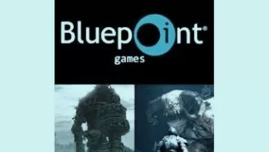Bluepoint Games
