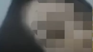 link viral video KKN Lombok 13 menit