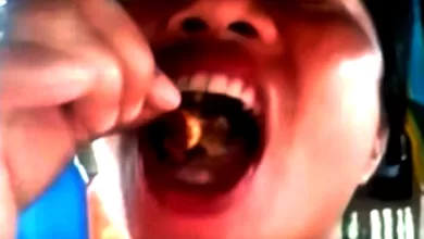 kepiting setan Filipina