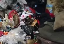 Hoarding Disorder Tangsel