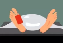 Alfin Maksalmina Windian