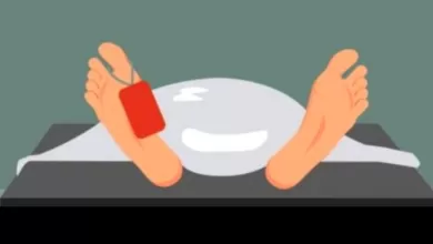 Alfin Maksalmina Windian