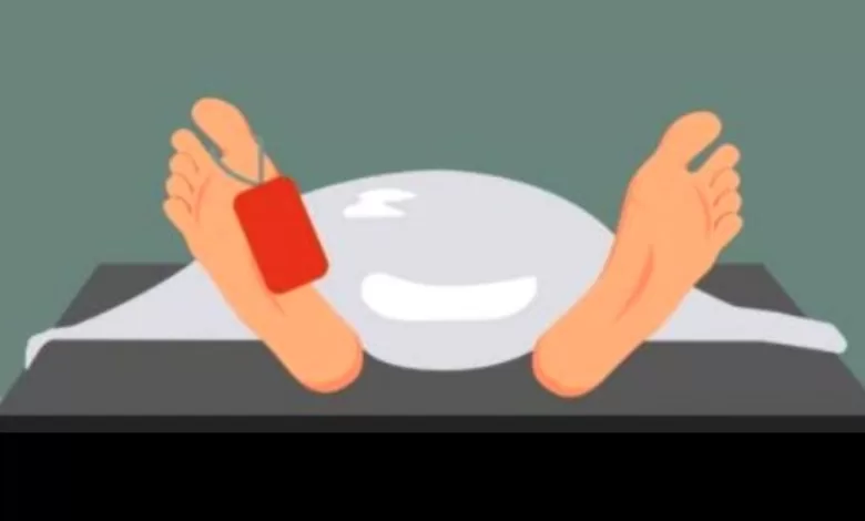 Alfin Maksalmina Windian