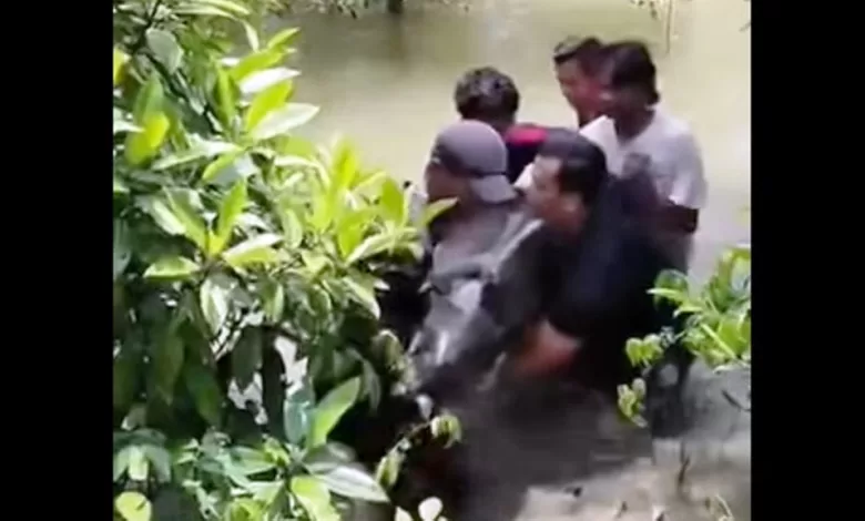 viral lumba-lumba terdampar Aceh