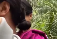 link video viral ibu tiri kebun sawit