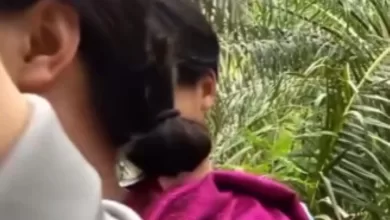 link video viral ibu tiri kebun sawit