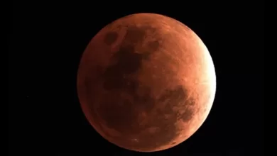 live gerhana bulan total 3 Maret 2026