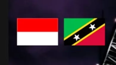 Link Live Streaming Timnas Indonesia