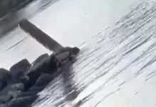 video viral Pantai Ketapang