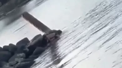 video viral Pantai Ketapang