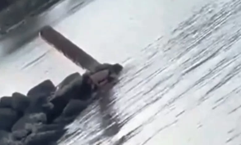 video viral Pantai Ketapang