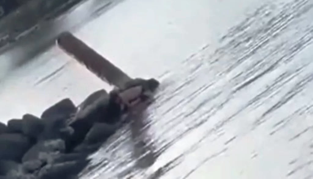 video viral Pantai Ketapang