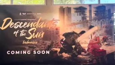 descendants of the sun indonesia