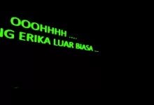 lirik Lagu Erika