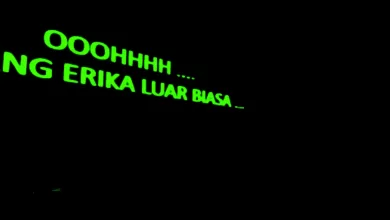 lirik Lagu Erika