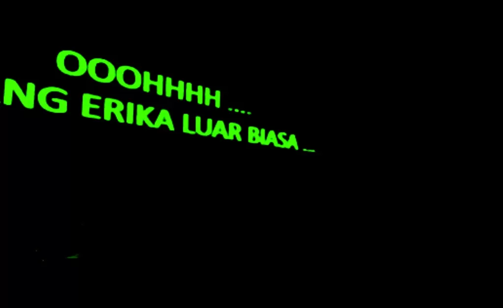 lirik Lagu Erika
