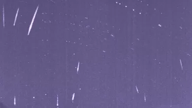 Hujan Meteor Lyrids