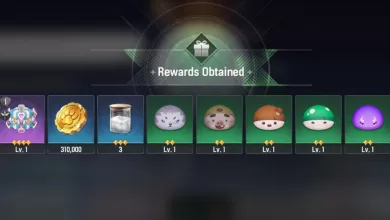 ONGIL STAR DIVE redeem code