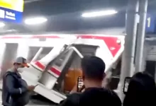 Korban Argo Bromo Anggrek