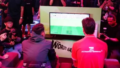 Tim Nasional Sepak Bola Indonesia