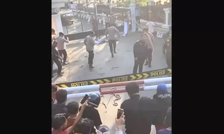 demo lempar ular indramayu
