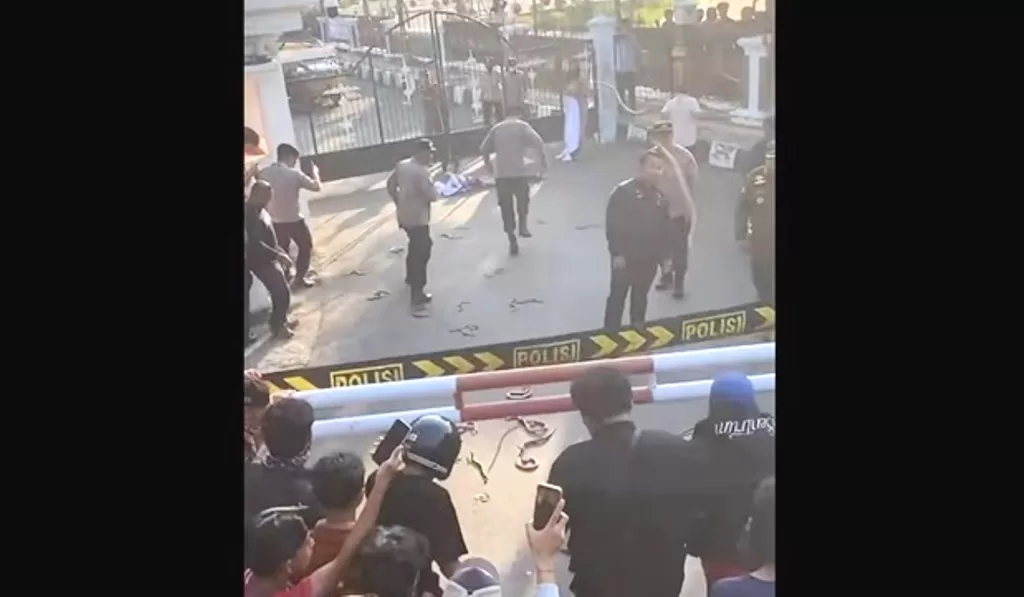 demo lempar ular indramayu