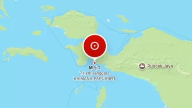 gempa kaimana papua