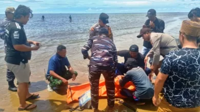 tentara nasional indonesia angkatan laut