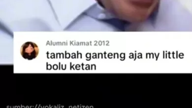 my little bolu ketan