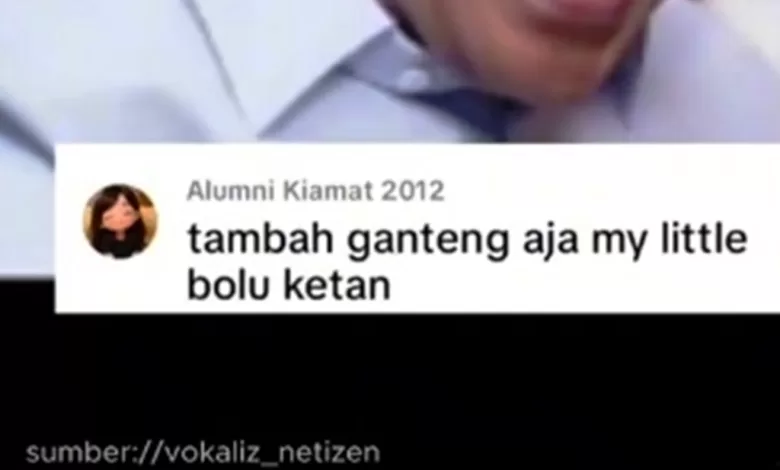 my little bolu ketan