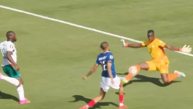 skor akhir Prancis vs Senegal