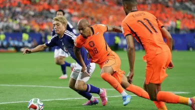 hasil pertandingan Belanda vs Jepang