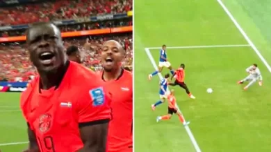 skor Belanda vs Swedia
