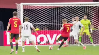 hasil belgia