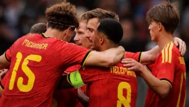 belgia vs tunisia