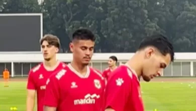 Mees Hilgers Timnas