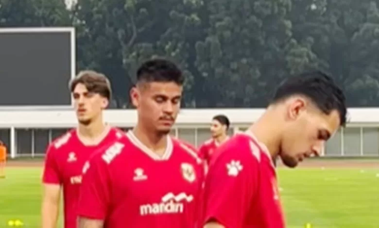 Mees Hilgers Timnas