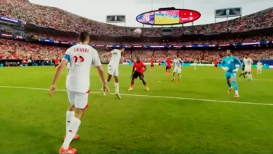 hasil Tunisia vs Belanda