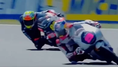 veda ega