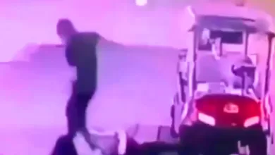 video caddy golf viral