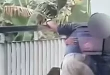 video viral PNJ