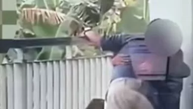 video viral PNJ