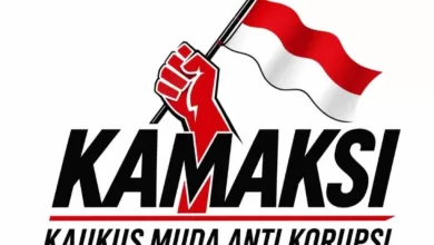 audit BUMN