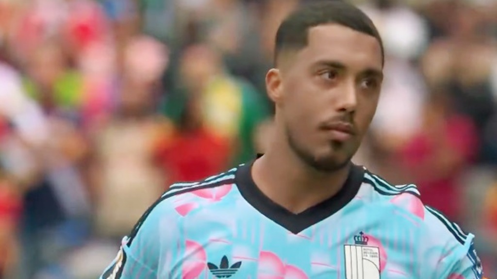 Youri Tielemans Manchester United transfer